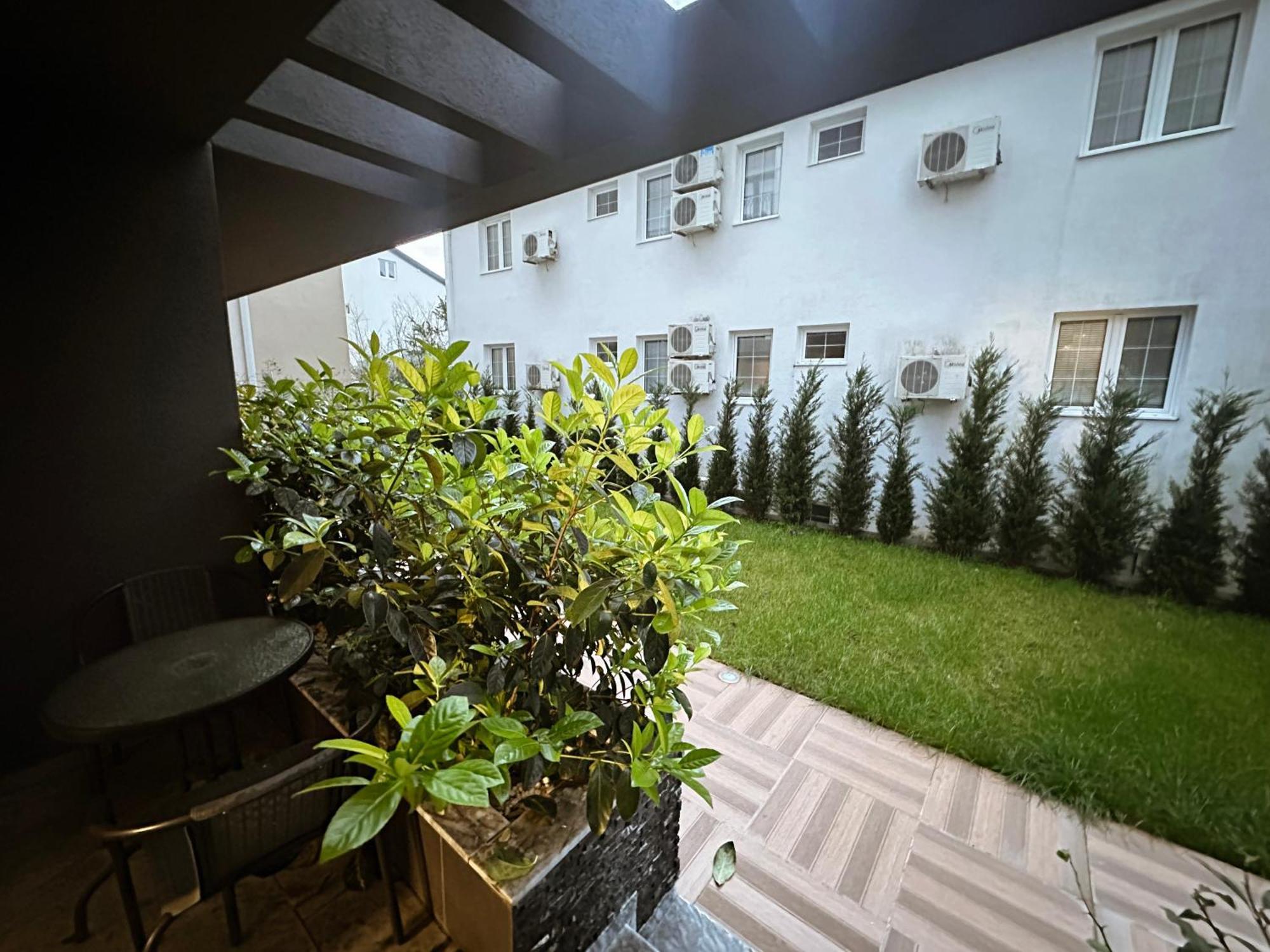 Viola Hotel Μπούντβα Εξωτερικό φωτογραφία